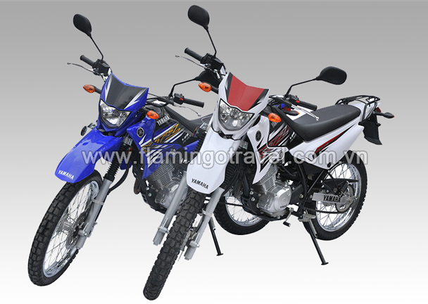 Yamaha XTZ 125 Motorbike Stickers Year 2021 Blue  Star Sam