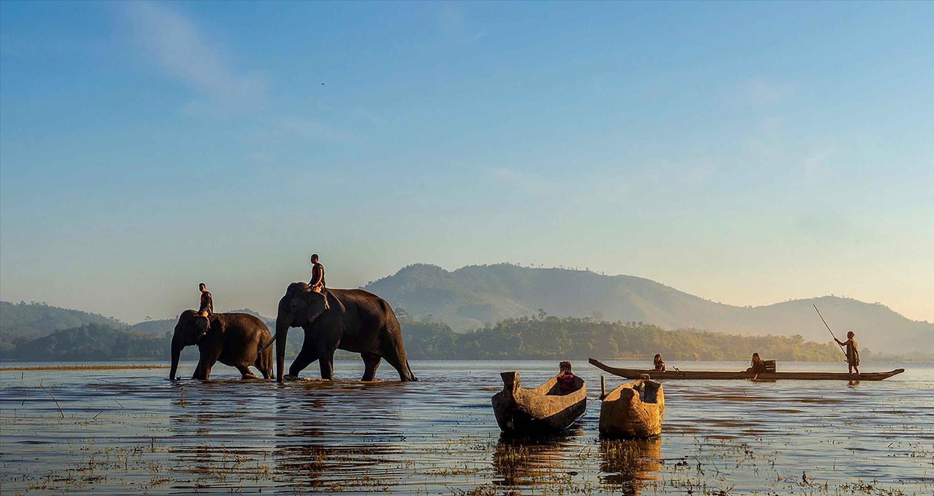 Lak Lake Elephan.jpg